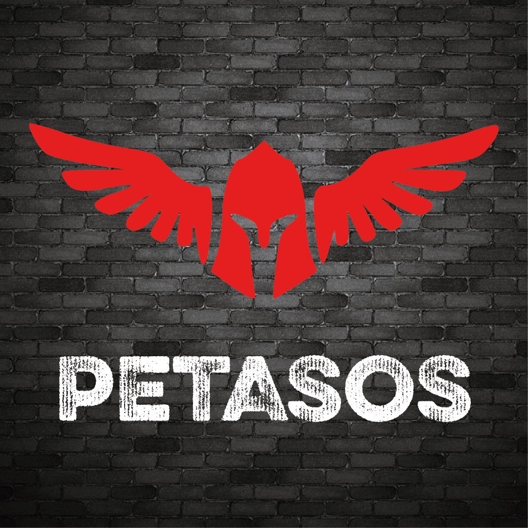 webdesigners Ieper | Petasos Webdesign